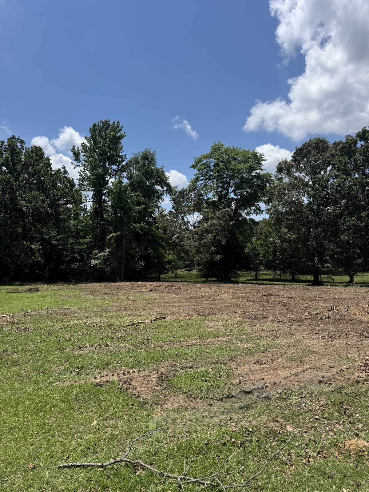 Cleared and mulched field flush to the tree line, McCurtain County, OK