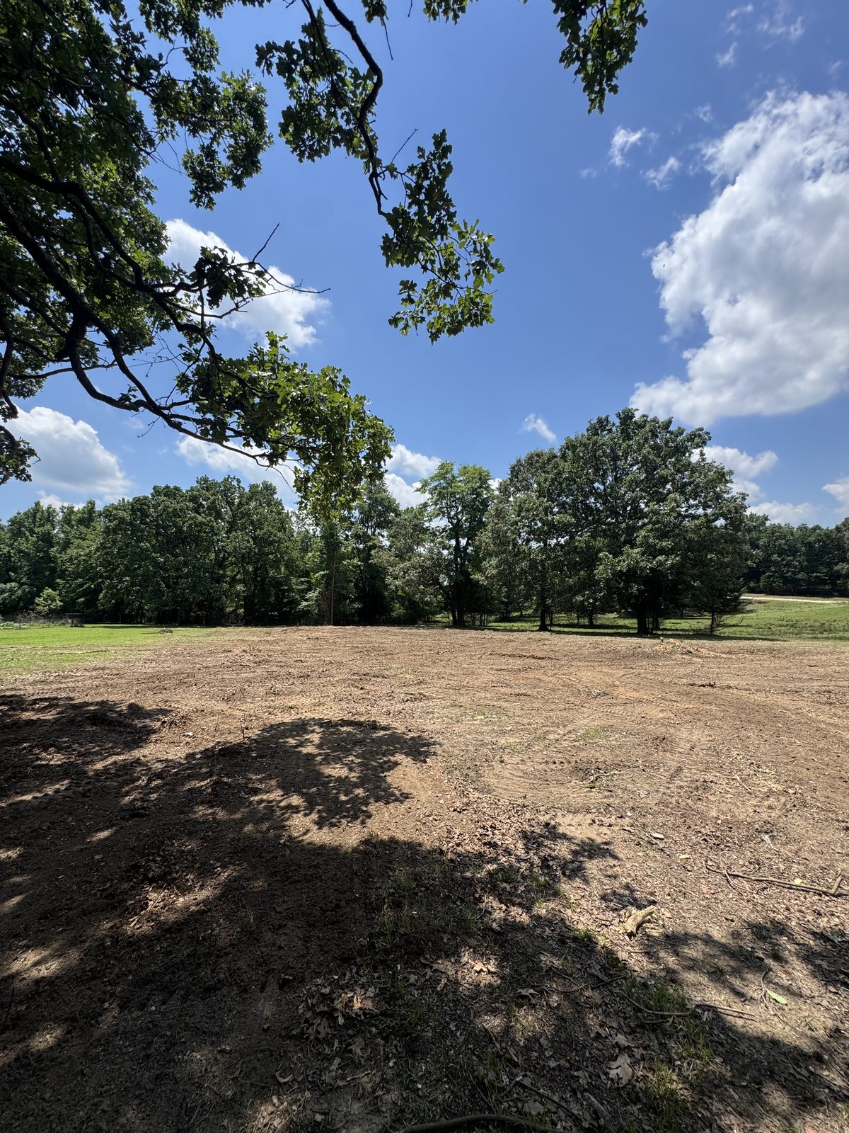 Cleared property edge with preserved hardwood tree line, Oklahoma